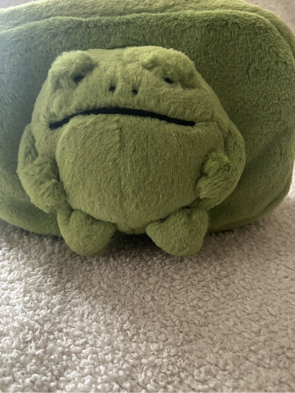Jellycat Ricky Rain Frog Pouch - Picture 4 of 10